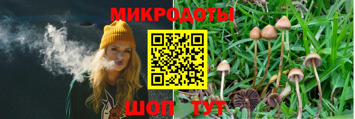 Псилоцибиновые грибы мухоморы Кубинка