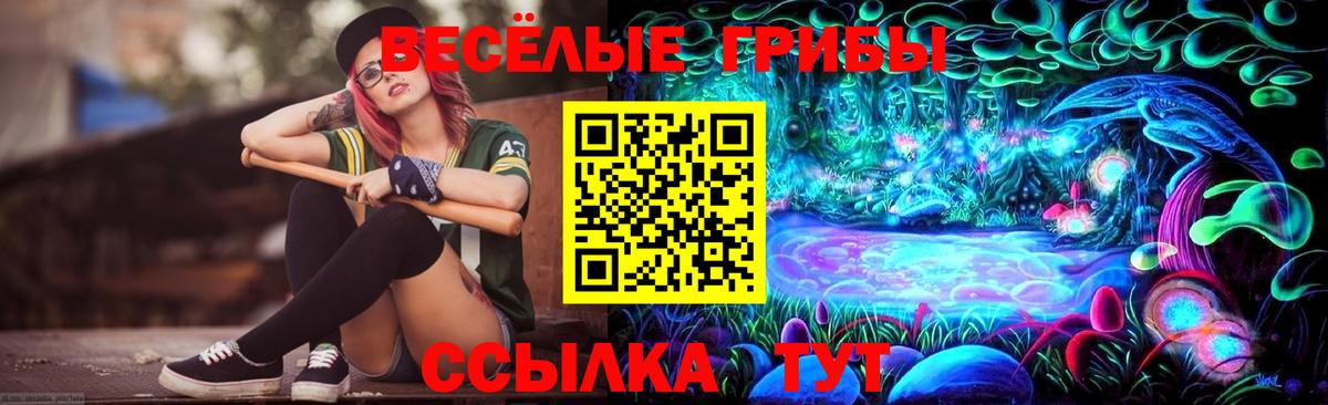 Кубинка  купить наркотик  Псилоцибиновые грибы Psilocybe  Вход с VPN  Псилоцибиновые грибы прущие грибы 
